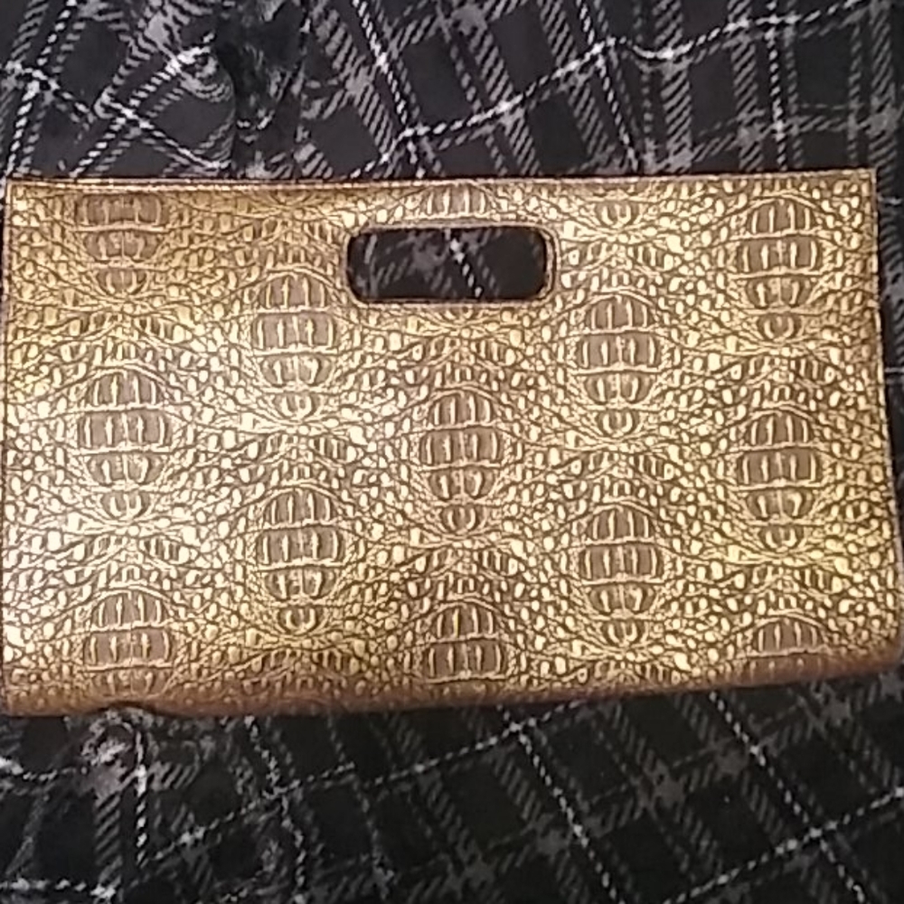 Giannini clutch purse